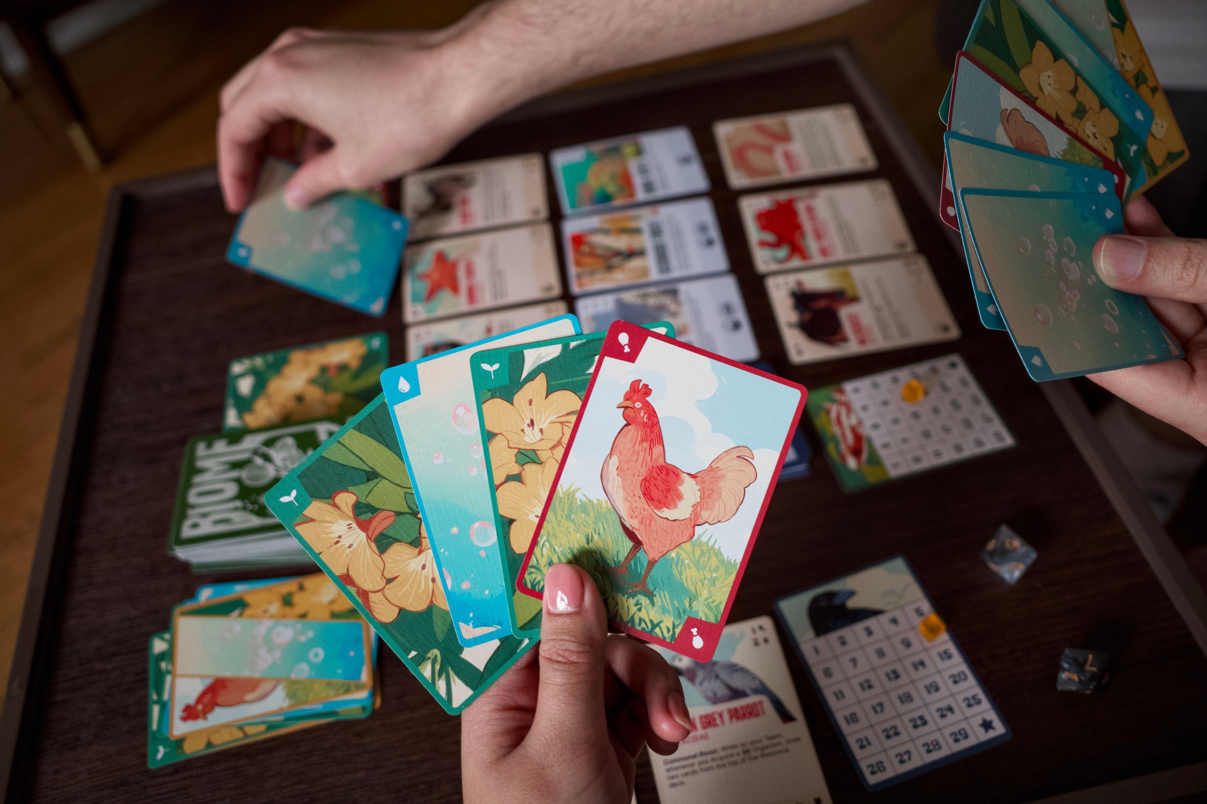 Two people playing the prototype of Biome Blitz. A player holds the three types of resource cards, prey, plant, and water.