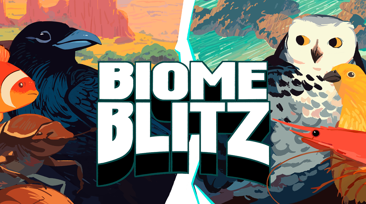 The header image for the game Biome Blitz. This image features animals illustrated by Matthew Sauder the game designer. The animals in the header image include a crow, clownfish, dung beetle, snowy owl, cuckoo finch, and giant red shrimp.