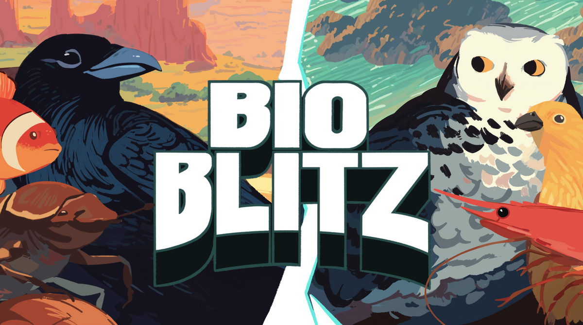 Barracuda Games - Bio Blitz