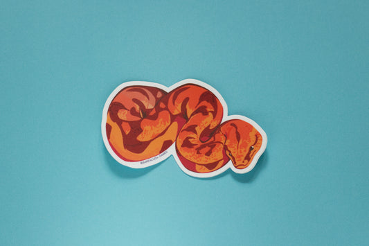 Bio Blitz - Boa Constrictor Vinyl Sticker