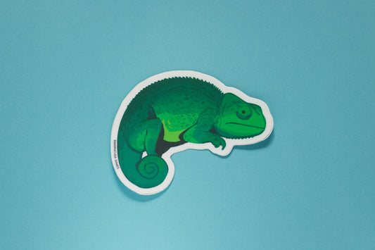 Bio Blitz - Chameleon Vinyl Sticker