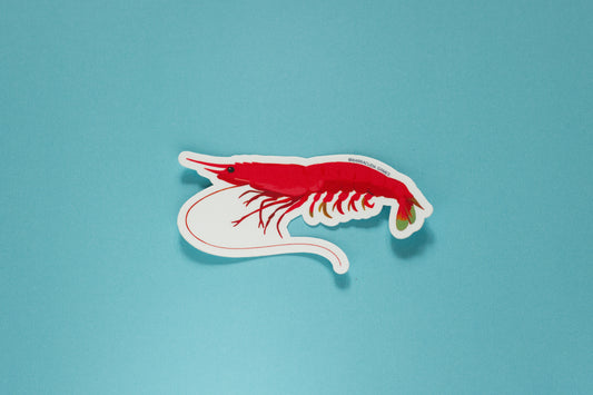 Bio Blitz - Giant Red Shrimp Vinyl Sticker
