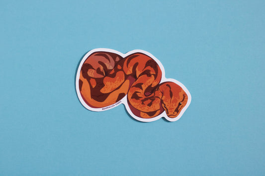 Biome Blitz - Boa Constrictor Vinyl Sticker