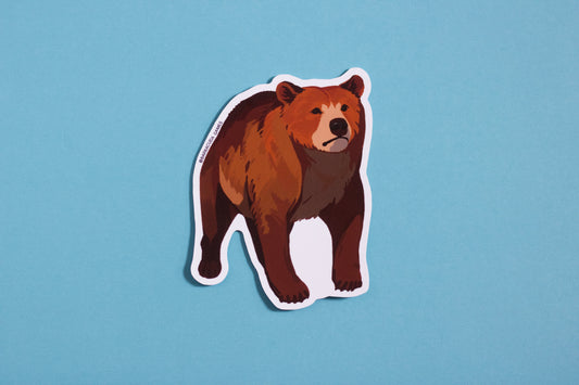 Biome Blitz - Brown Bear Vinyl Sticker