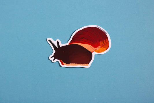 Biome Blitz - Giant African Land Snail Vinyl Sticker