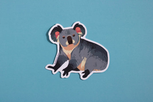 Biome Blitz - Koala Vinyl Sticker