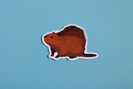Biome Blitz - North American Beaver Vinyl Sticker