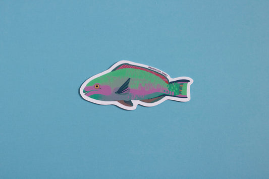 Biome Blitz - Parrotfish Vinyl Sticker