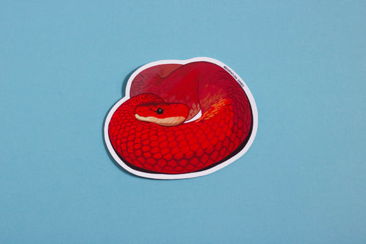 Biome Blitz - Red Spitting Cobra Vinyl Sticker