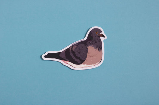Biome Blitz - Rock Pigeon Vinyl Sticker