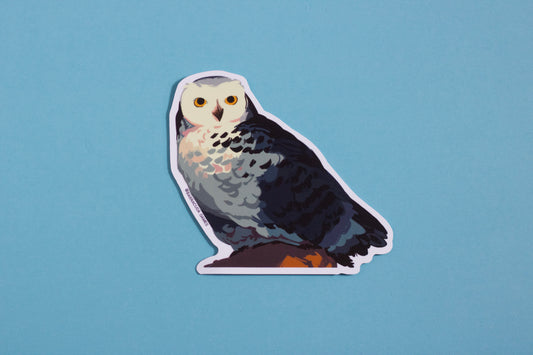 Biome Blitz - Snowy Owl Vinyl Sticker