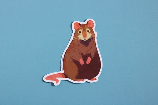 Mouse Vinyl Sticker - Curious Camille